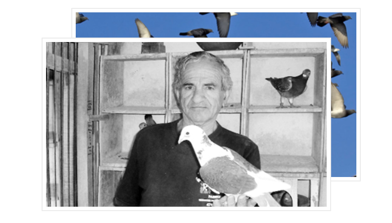Que origen tienen las palomas de Lito Serio?