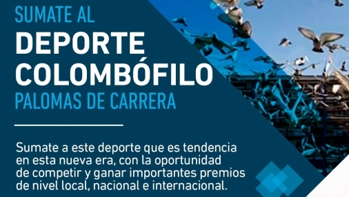 Sumate al deporte colombófilo