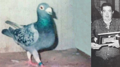 La de 17 de Raúl Calero